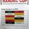 Mini HANDEC CUP 2018
