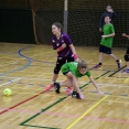 Turnaj minidružstva - Ivančice 19.01.2019