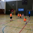 Turnaj minidružstva - Ivančice 19.01.2019